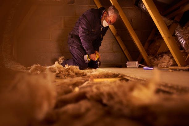 Best Cellulose Insulation in Berlin, NJ